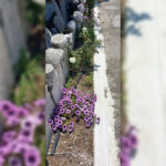 Εργασίες καθαρισμού και καλλωπισμού Μουσουλμανικού νεκροταφείου στο Πλατάνι .